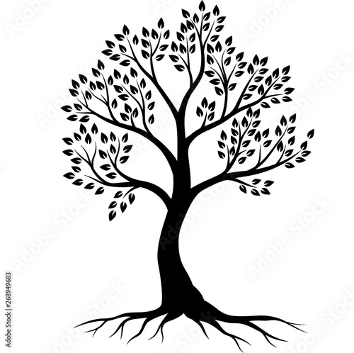 Tree silhouette on white background