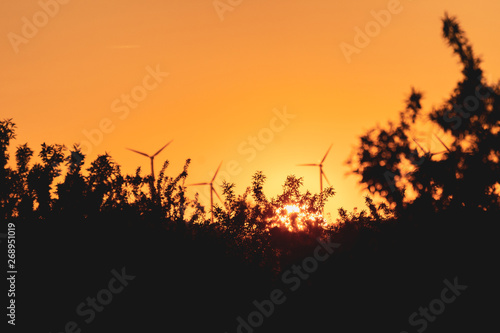 Orange sunset among trees and windmills. Magic orange sunset around nature and renewable energy © Fernando.RM
