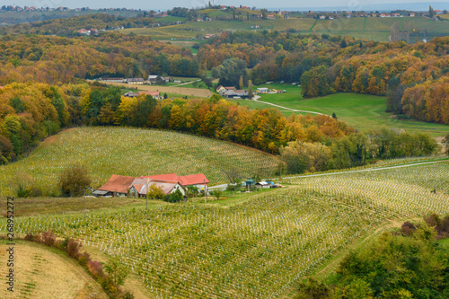 Beautiful vineyards landscape of Jeruzalem on Slovene Hills. Ljutomer. Northeastern Slovenia photo