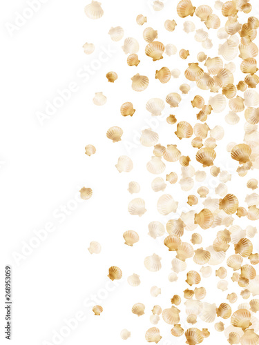 golden pearl bivalved mollusks on white