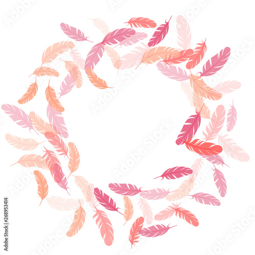 Falling feather elements soft vector design.