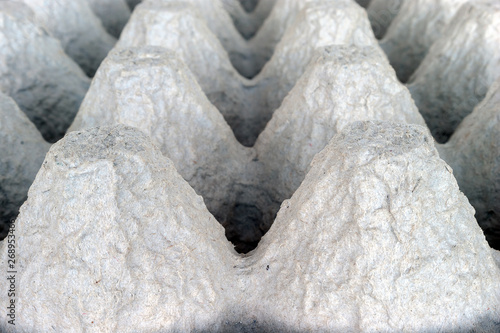 Underside of an Empty Biodegradable Molded Pulp Fiber Egg Carton Tray.