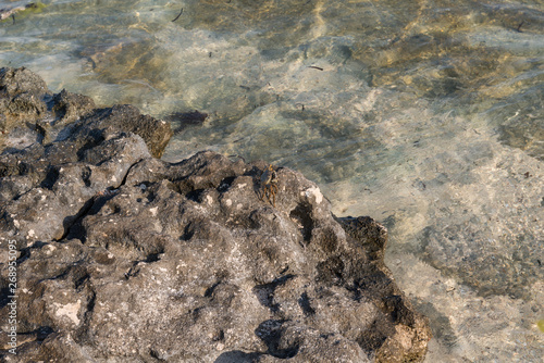Rocks on the shore