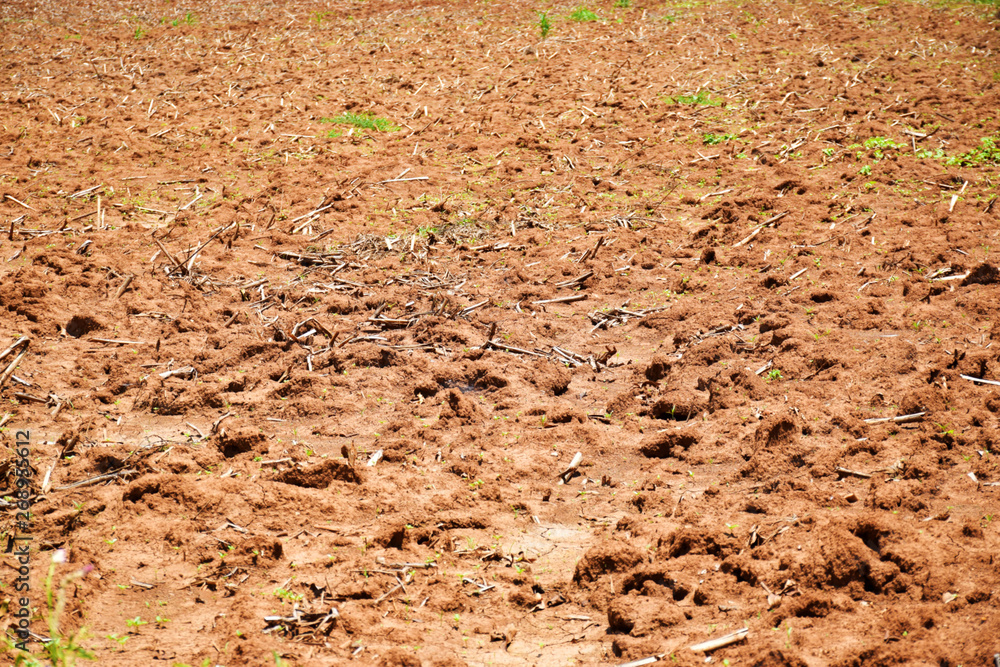 Ground surface for planting nature background Ground surface for planting nature background