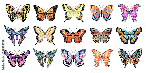 decorative butterflies