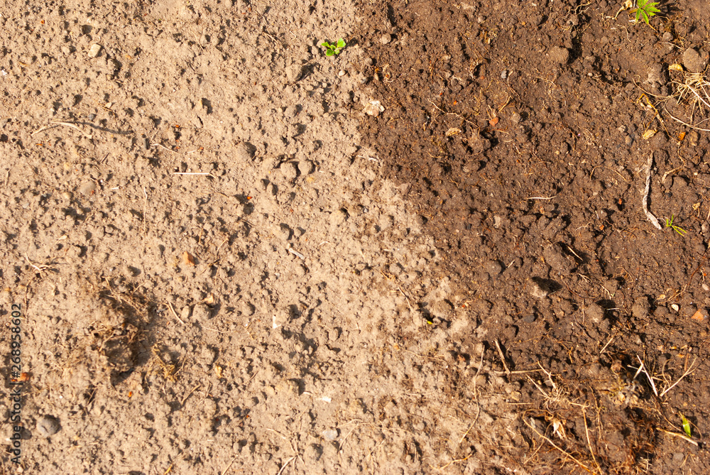 Plain soil in the garden half watered, half dry Plain soil in the garden half watered, half dry