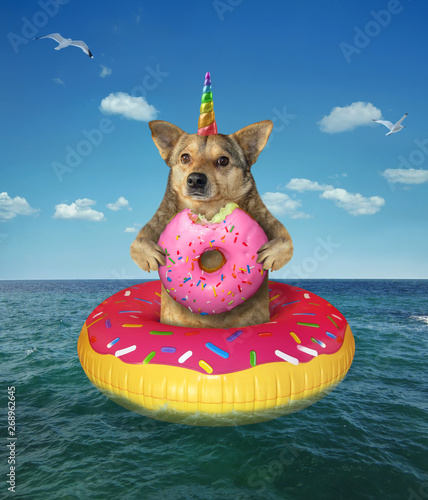 The dog unicorn eats a donut on the inflatable circle in the sea. © iridi66