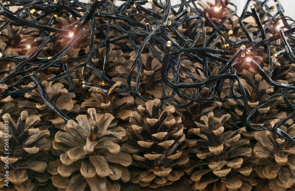 Dry Brown Pine Cones Background, Texture or Pattern