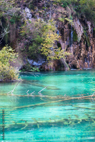 Old sunken trees in a crystal clear lake. Plitvice lakes