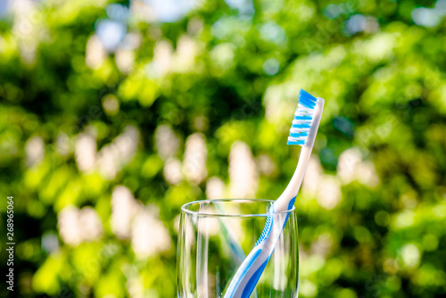  Toothbrush stands in a glass on a natural background 