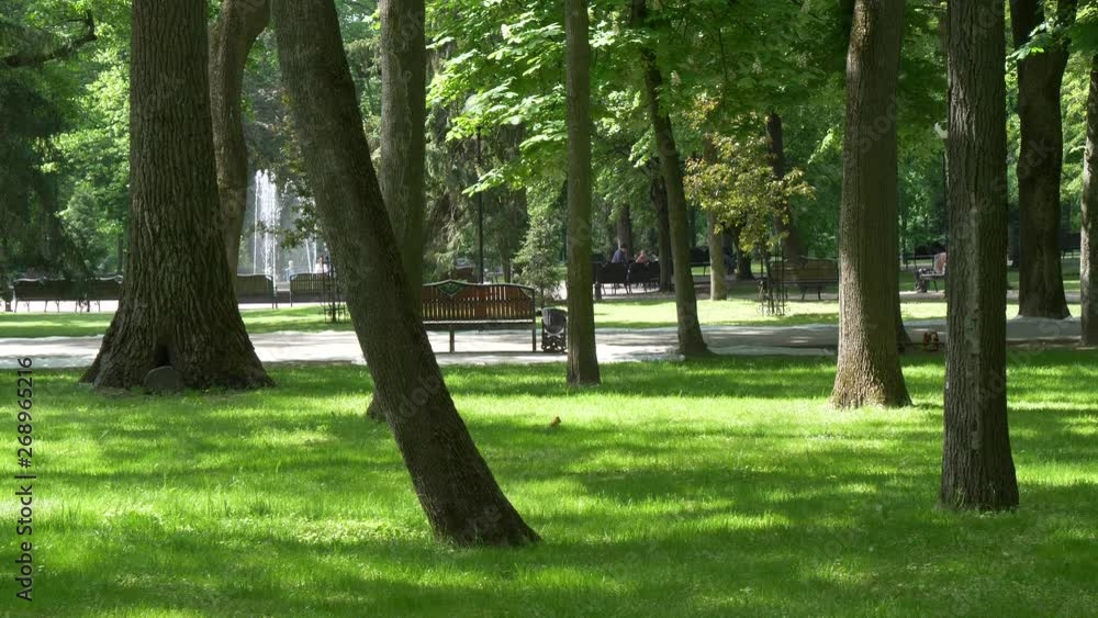 GOMEL, BELARUS - MAY 15, 2019: City Park. Rumyantsev Palace Complex. GOMEL, BELARUS - MAY 15, 2019: City Park. Rumyantsev Palace Complex.
