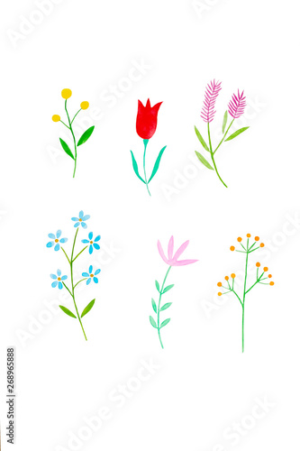 Watercolor illustration art design, Set of colorful flowers in watercolor hand pianting style isolated on white background, pattern element for invitation greeting card