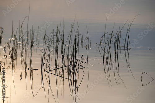 Landscape with the image of lake Seliger in Russia