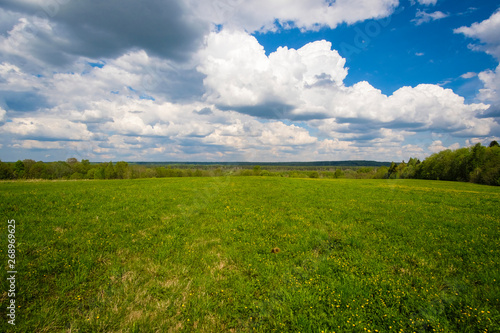 Landscape with the image of forest