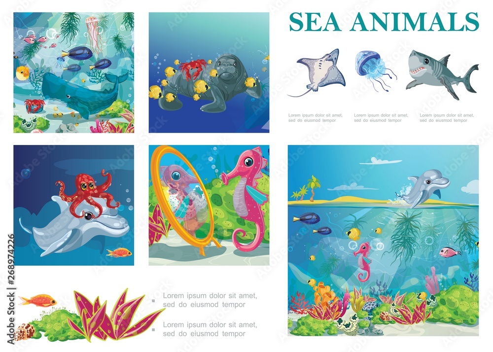 Cartoon Sea Life Composition Cartoon Sea Life Composition