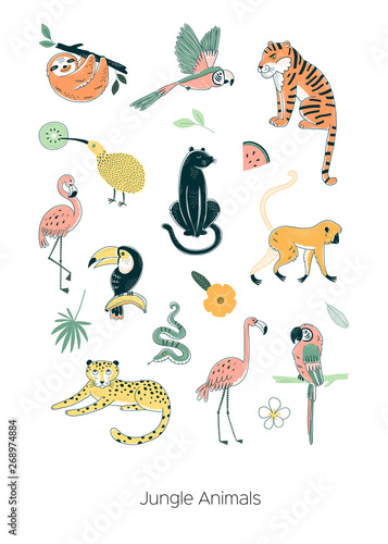 Exotic tropical Jungle animals illustration set isolated on white. Tiger Leopard Panther Sloth Monkey Snake Flamingo Parrot Toucan Kiwi bird Rainforest creature graphics.