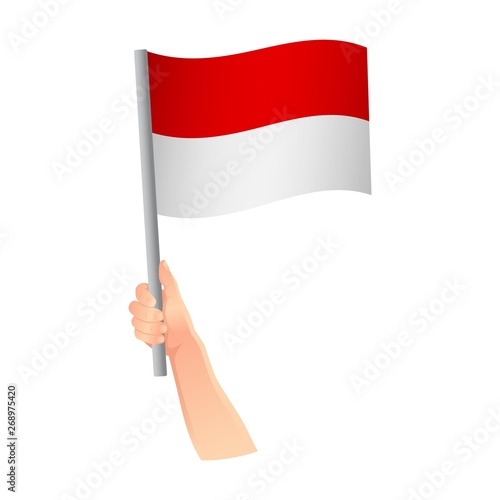 Monaco flag in hand icon