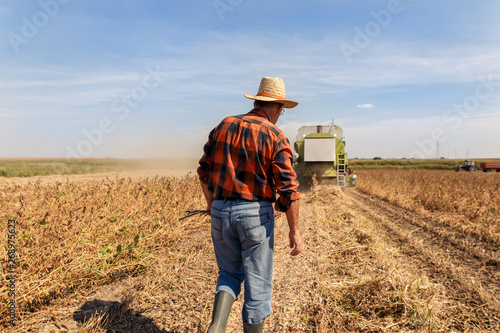 Senior farmer in soybean field supervises the harvest.