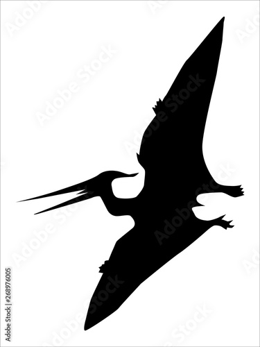 pterodactyl, flying dinosaur