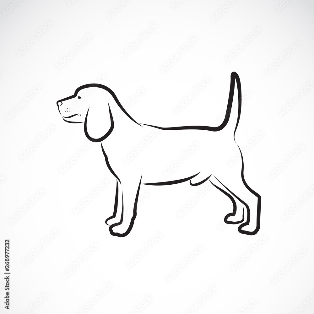 Vector of a dog beagle on white background. Pet. Animal. Dog logo or icon. Easy editable layered vector illustration.