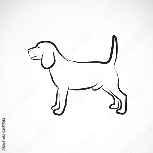 Vector of a dog beagle on white background. Pet. Animal. Dog logo or icon. Easy editable layered vector illustration.