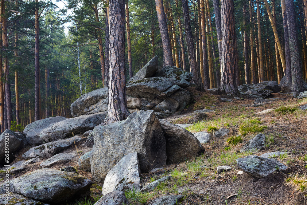 Large stone boulders in the forest. Large stone boulders in the forest.