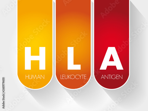 HLA - Human Leukocyte Antigen acronym, health concept background