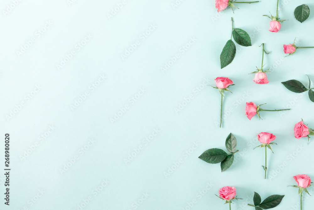 Beautiful flowers composition. Pink rose flowers on pastel blue background. Valentines Day, Easter, Happy Women's Day, Mother's day. Flat lay, top view, copy space