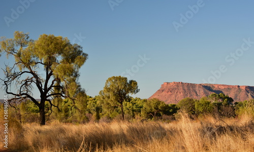 Kings Canyon landscape. Watarrka national park. Northern Territory. Australia