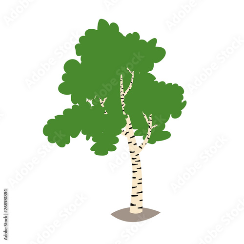 Birch tree icon vector illustration. Travel to Russia concept art cartoon style. Isolated on a white background