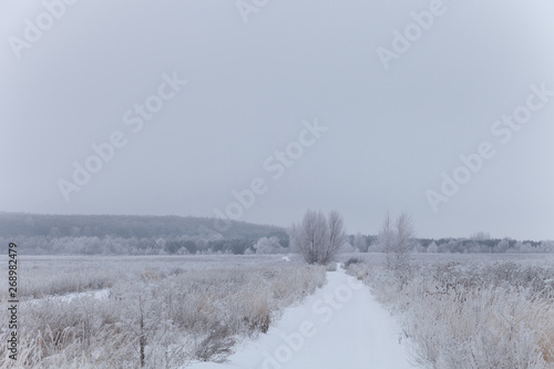 Wallpaper Mural Russian provincial natural landscape in gloomy weather Torontodigital.ca