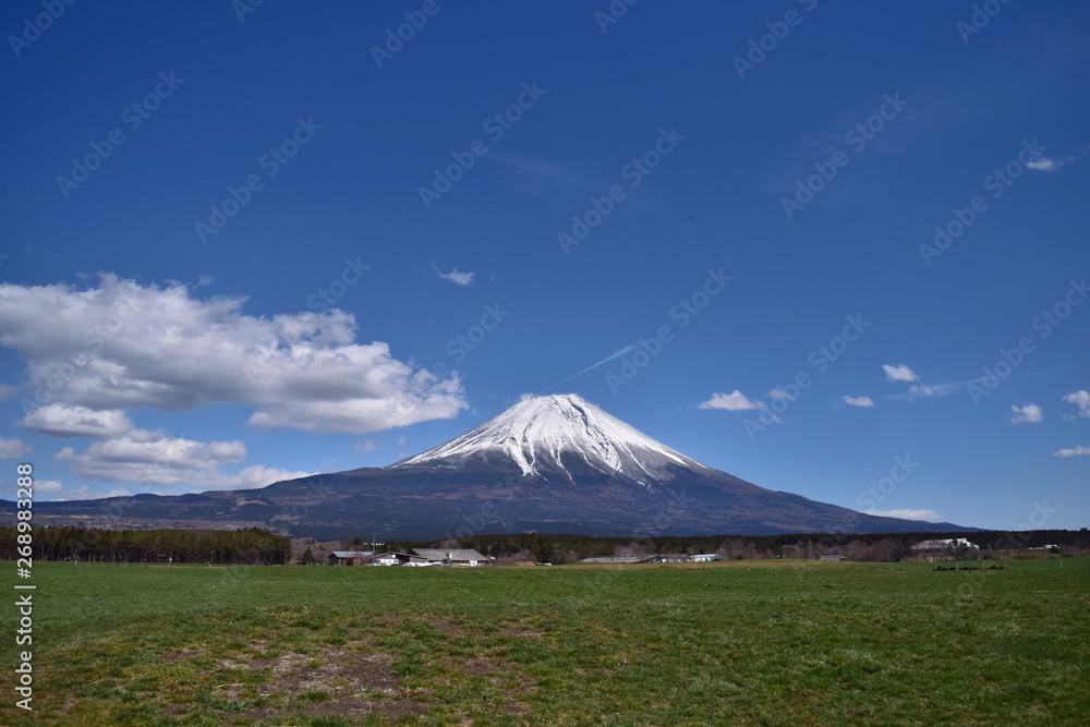 Fototapeta premium 富士山と草原～Mt.Fuji and Grassland.