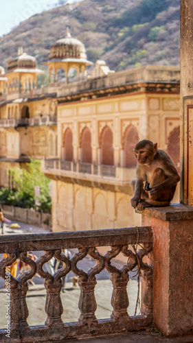 Jaipur rajasthan India 