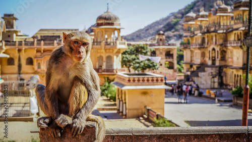 Jaipur rajasthan India 