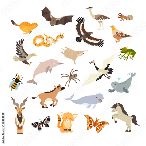 Animals cartoon vector set. Cartoon illustration, isolated on a white background © coffeee_in