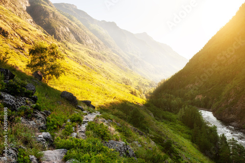 Mountain gorge with river in Altai mountains, Siberia, Russia. Trekking to Uchar waterfall. Summer landscape