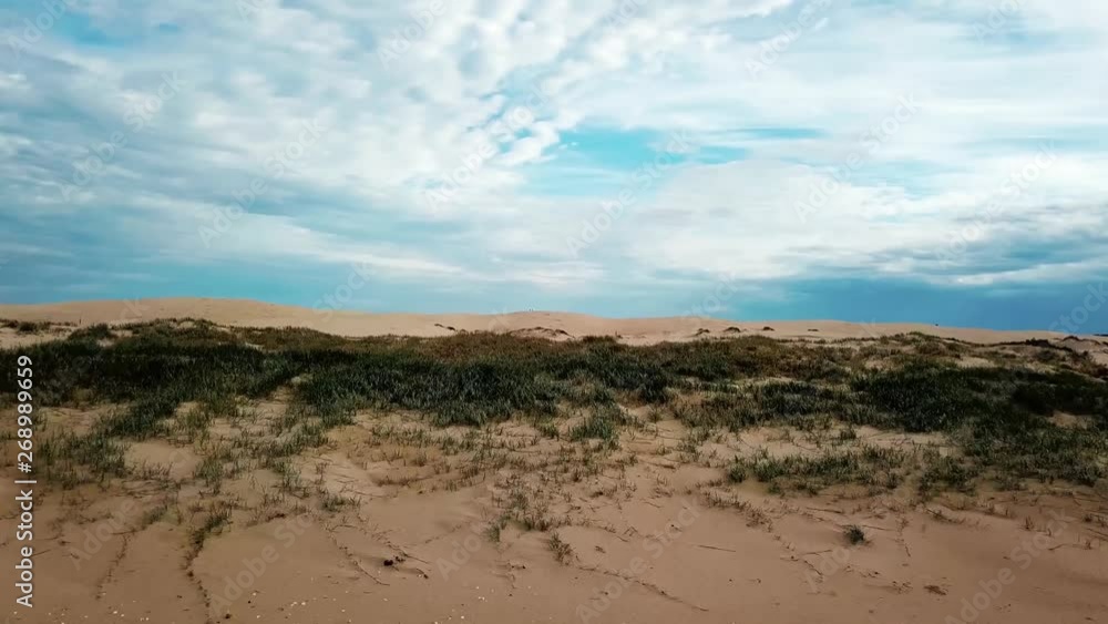 Cinematic Low Angle Drone Aerial of Empty Beach With Vegetation and Sand Dunes on Tasman Sea in Stockton National Park Australia 4k Cinematic Low Angle Drone Aerial of Empty Beach With Vegetation and Sand Dunes on Tasman Sea in Stockton National Park Australia 4k
