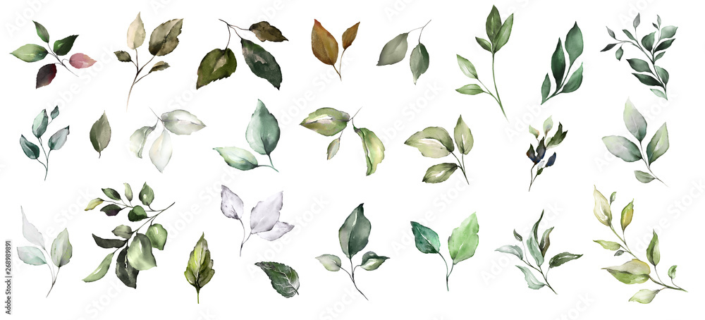  set watercolor leaves. collection herbal illustration. Botanic composition. nature modern design - obrazy, fototapety, plakaty 