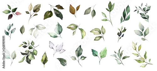  set watercolor leaves. collection herbal illustration. Botanic composition. nature modern design