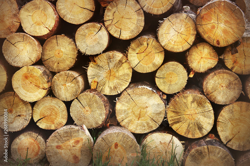 Stacked logs. Background from wooden boards. Wood background