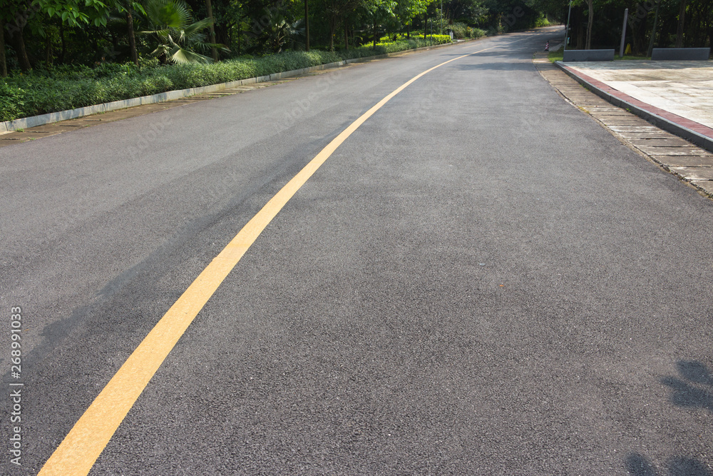 Curved asphalt road in the park