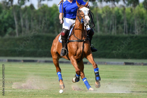 Ladies horse polo player use a mallet hitting a ball