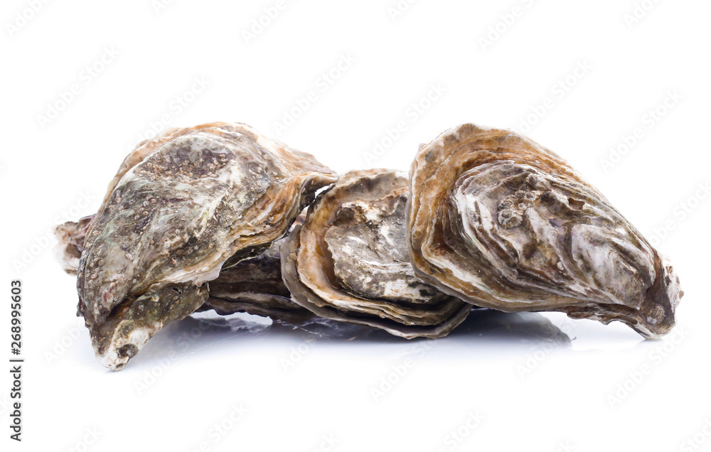 Fresh  oyster on white background
