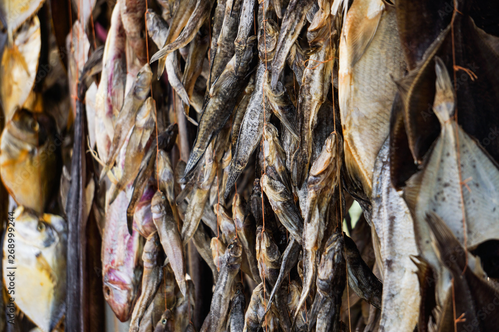 Dried fish. Dried fish hanging on a rope. Horizontal frame. The focus is shifted to the center of the frame