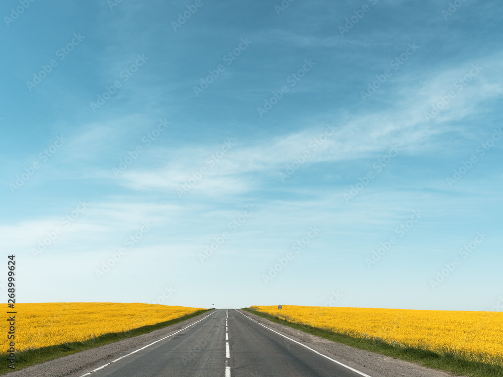 highway among rapeseed yellow field against a blue sky highway among rapeseed yellow field against a blue sky
