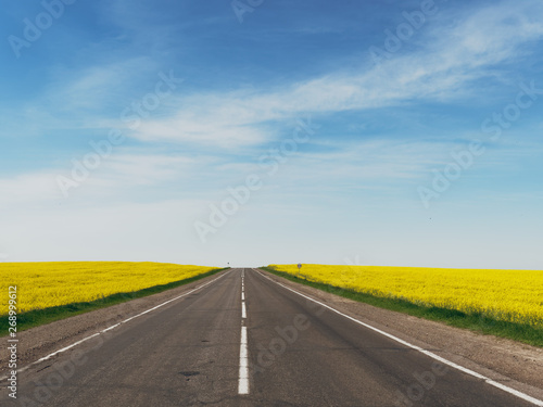 highway among rapeseed yellow field against a blue sky