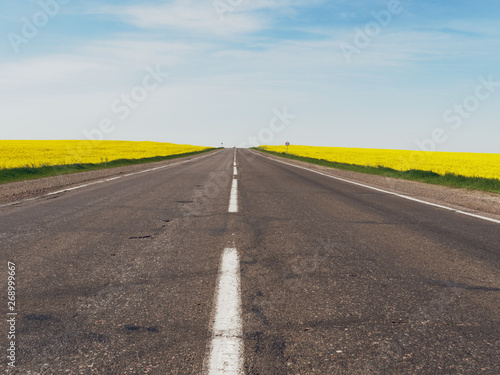 highway among rapeseed yellow field against a blue sky