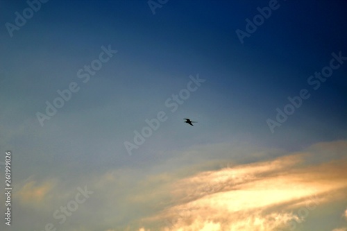 raios de sol no céu azul © Fotos GE