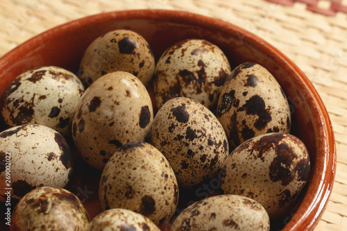 Fresh quail eggs ready for cooking