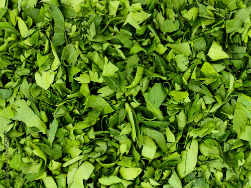 Wallpaper Mural texture of chopped leaves. Natural eco-friendly ingredient for veggie and meat dishes. Spices for a delicious aromatic dinner scattered on the table. Isolated Torontodigital.ca